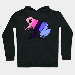 Pixel Omnisexual Frog Hoodie